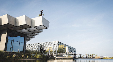 NEUES VIDEO: EIN SOMMER AUF DEM ADIDAS CAMPUS MIT DANNY MACASKILL